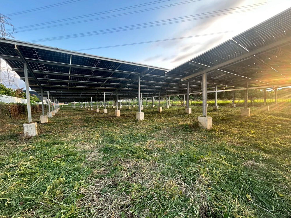 高雄太陽能案場除草維護